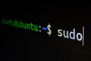 Immagine per la categoria Linux
