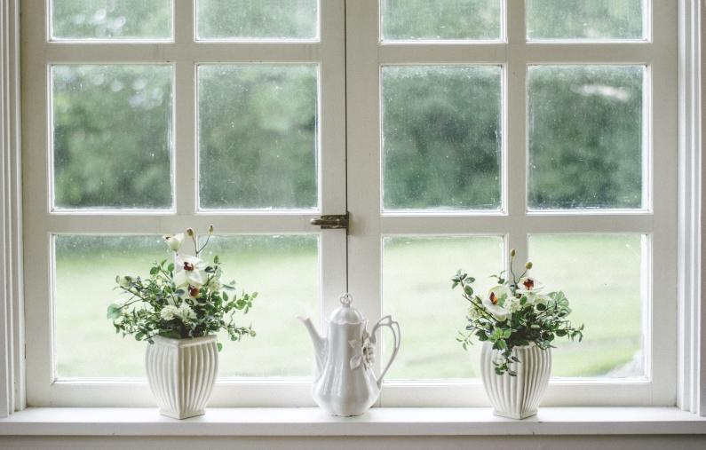Immagine di una finestra con fiori, a simboleggiare la categoria Windows